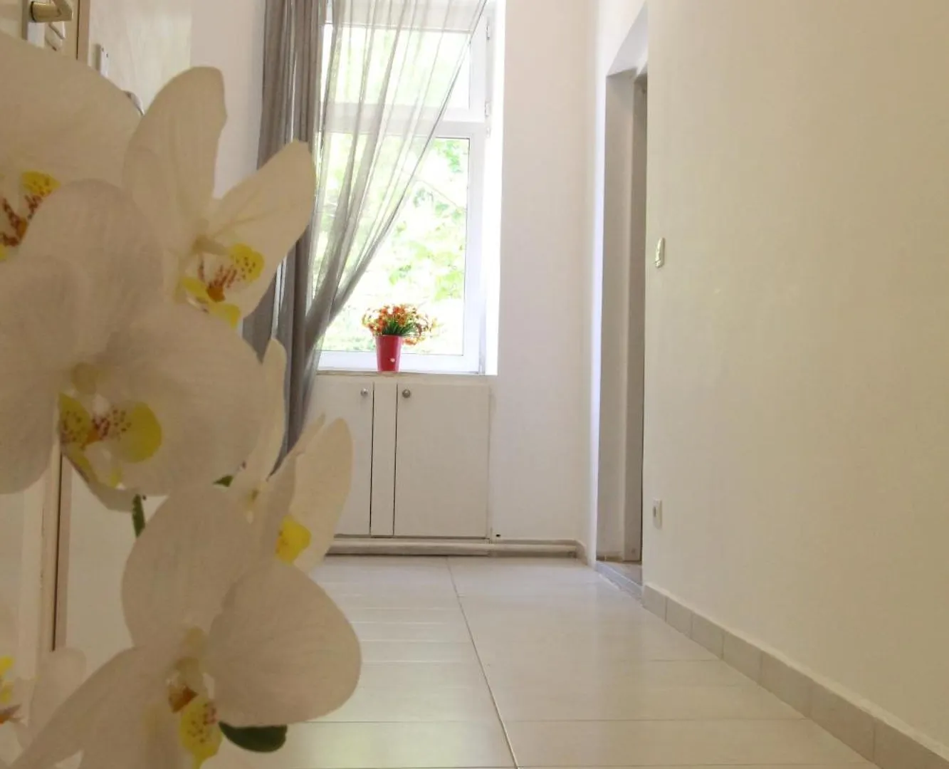 Cozy Rooms In Pragerstrasse Vienna Austria
